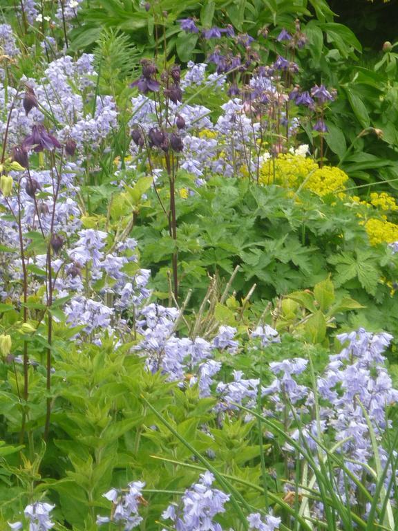 Castle View B&B Freshford Екстериор снимка